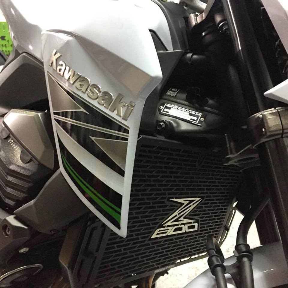 Protector radiador Kawasaki Z800